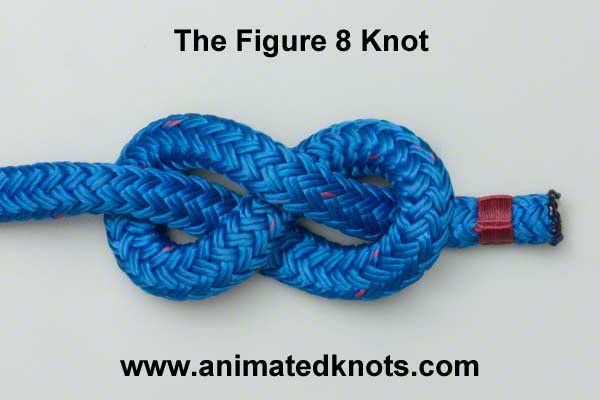 figure_8_knot